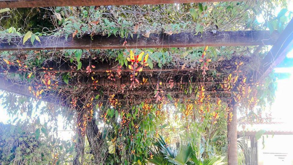 Condomínio Ouro Vermelho II - Casa Térrea no Condomínio Ouro Vermelho II – Jardim Botânico - Foto 28