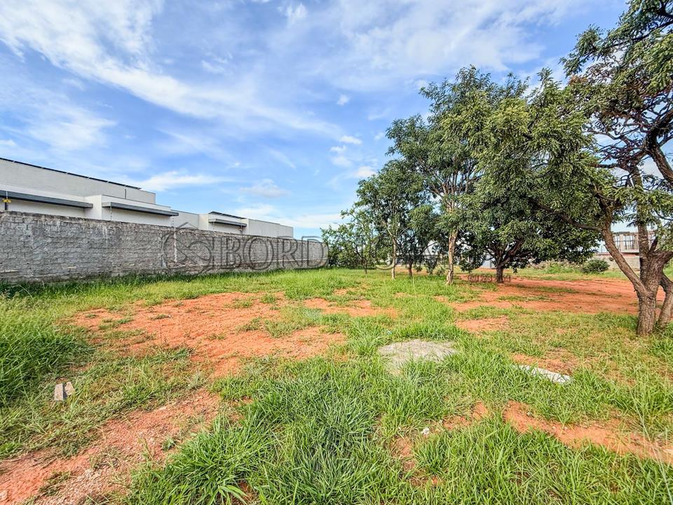 Condomínio Parque Jardim das Paineiras - Terreno de 800 m² na SHJB QD. 3 ! Avenida das Paineiras, Jardim Botânico, Brasília/DF - Foto 4