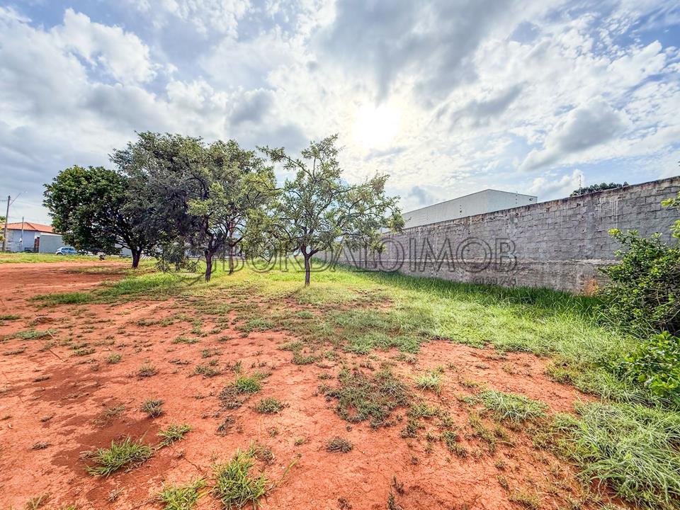 Condomínio Parque Jardim das Paineiras - Terreno de 800 m² na SHJB QD. 3 ! Avenida das Paineiras, Jardim Botânico, Brasília/DF - Foto 7