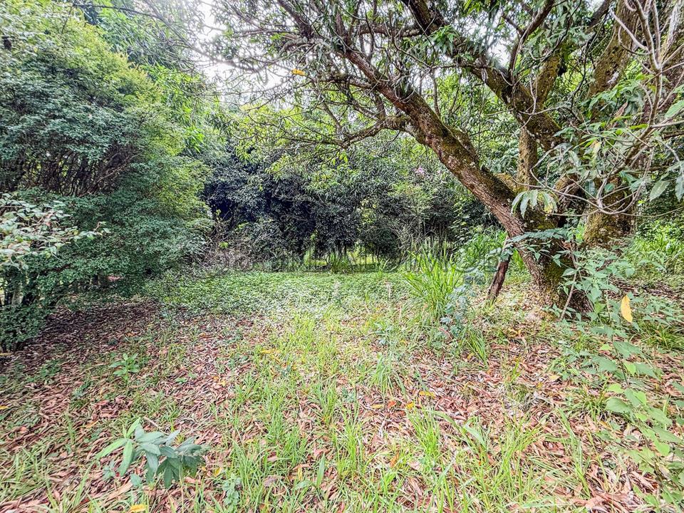 SHIS QL 2 - OPORTUNIDADE ÚNICA: QL 02 LAGO SUL - Foto 30