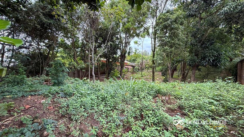 SMLN MI Trecho 12 - Lote em Condomínio Escriturado com Vista Livre - Foto 12