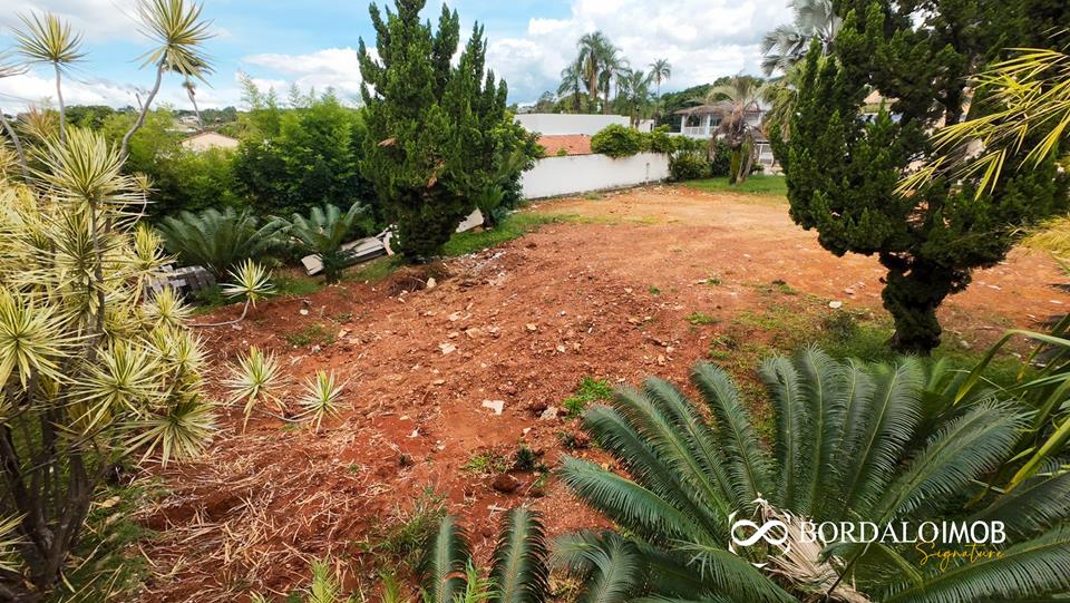 SHIS QI 23 - Bordalo Signature vende lote na SHIS QI 23 - Foto 4