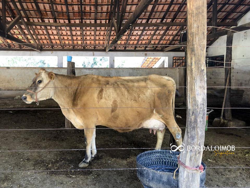 Rodovia DF-250, Km 2,7 Condomínio Mansões Entre Lagos 1 - Chácara Harmonia 20.000 m² de natureza conforto e exclusividade no Condomínio Entre Lagos - Foto 35