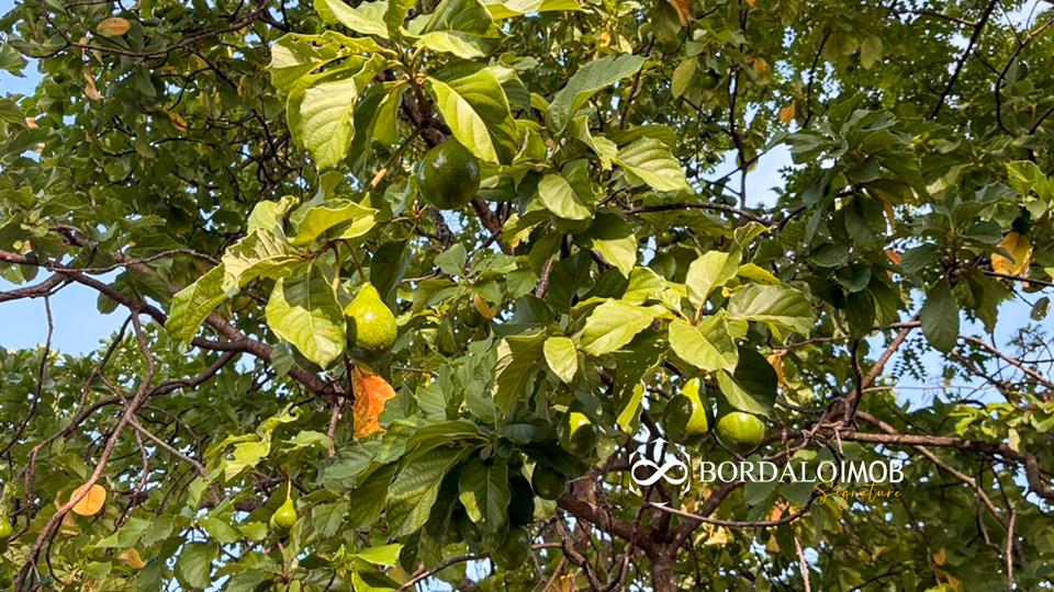 Condomínio Ville Montagne - Casa Chalé com 800m² de Lote       3 Quartos  - Foto 12