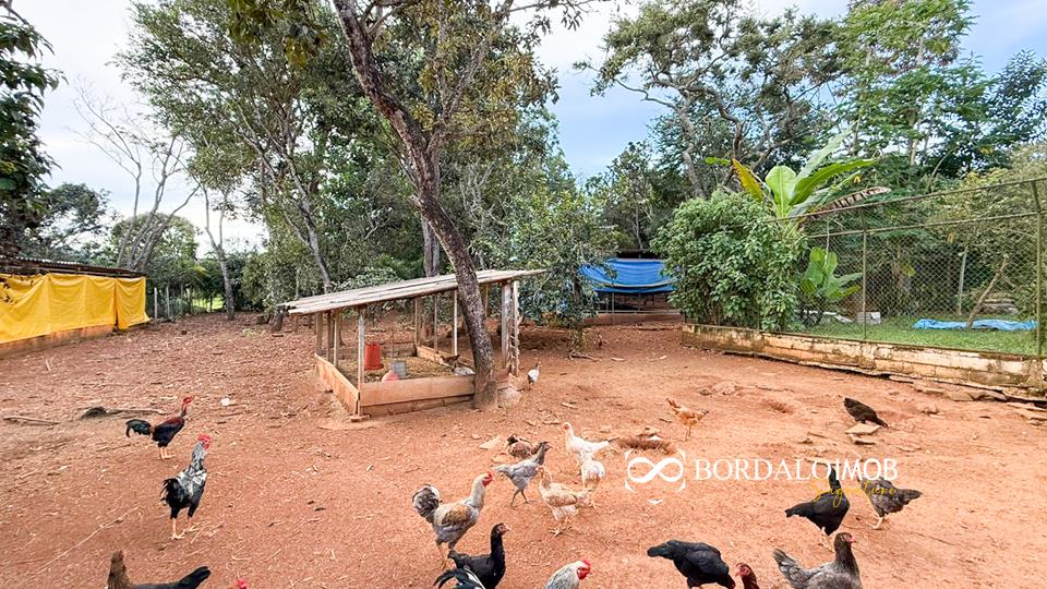 Mansões Fazenda DF - 140 - Chácaras Conjugadas com 4,9 hectares com Lazer e Árvores Frutiferas - Foto 15