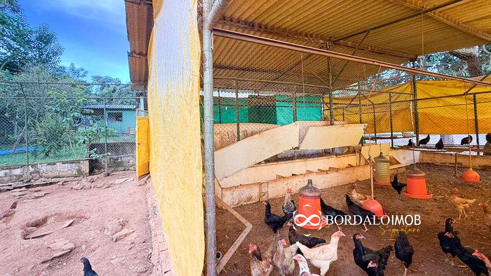 Mansões Fazenda DF - 140 - Chácaras Conjugadas com 4,9 hectares com Lazer e Árvores Frutiferas - Foto 17