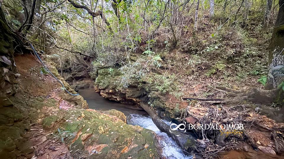 Mansões Fazenda DF - 140 - Chácaras Conjugadas com 4,9 hectares com Lazer e Árvores Frutiferas - Foto 18