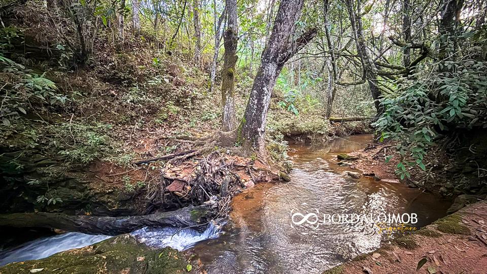 Mansões Fazenda DF - 140 - Chácaras Conjugadas com 4,9 hectares com Lazer e Árvores Frutiferas - Foto 19