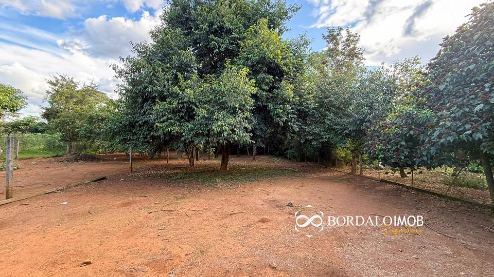 Mansões Fazenda DF - 140 - Chácaras Conjugadas com 4,9 hectares com Lazer e Árvores Frutiferas - Foto 20