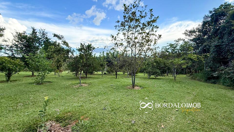 Mansões Fazenda DF - 140 - Chácaras Conjugadas com 4,9 hectares com Lazer e Árvores Frutiferas - Foto 25