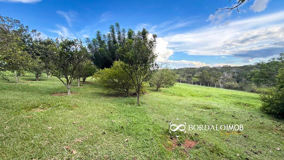 Mansões Fazenda DF - 140 - Chácaras Conjugadas com 4,9 hectares com Lazer e Árvores Frutiferas - Foto 26