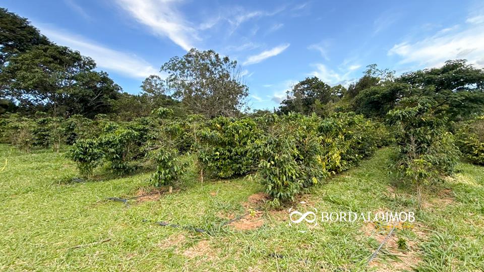 Mansões Fazenda DF - 140 - Chácaras Conjugadas com 4,9 hectares com Lazer e Árvores Frutiferas - Foto 27