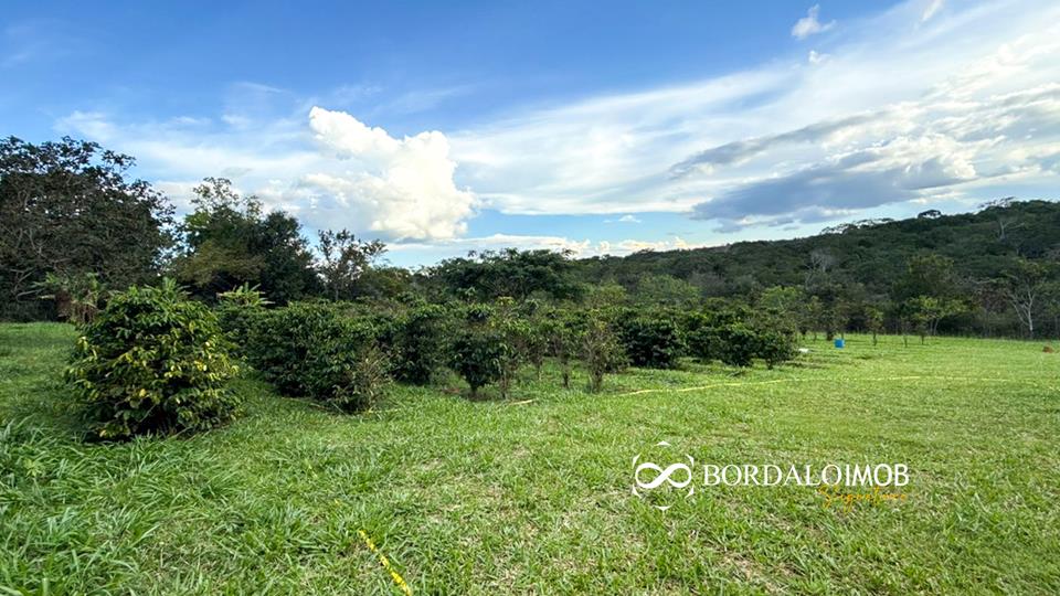 Mansões Fazenda DF - 140 - Chácaras Conjugadas com 4,9 hectares com Lazer e Árvores Frutiferas - Foto 28