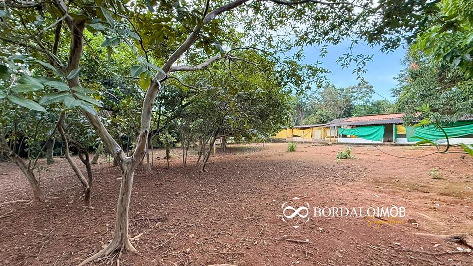 Mansões Fazenda DF - 140 - Chácaras Conjugadas com 4,9 hectares com Lazer e Árvores Frutiferas - Foto 46