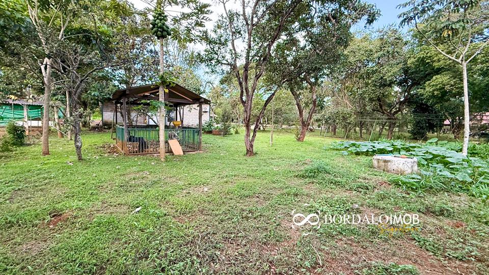 Mansões Fazenda DF - 140 - Chácaras Conjugadas com 4,9 hectares com Lazer e Árvores Frutiferas - Foto 50